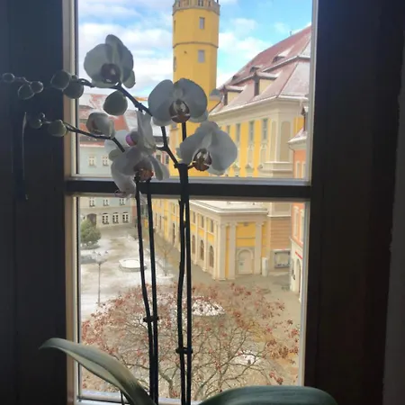 Zum Handtuch Guest house